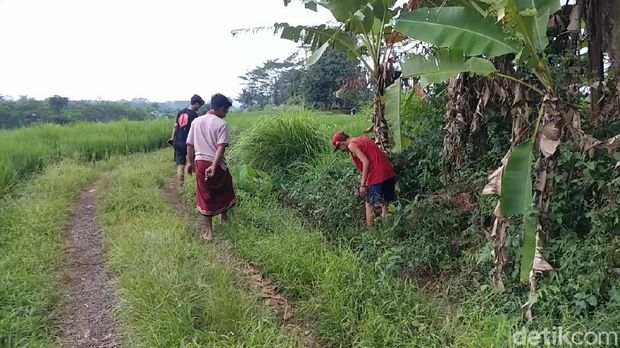 Warga Kabupaten Batang, Jawa Tengah dibuat heboh dengan temuan uang senilai puluhan juta yang berceceran di saluran air untuk irigasi.