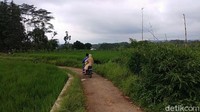 Seorang petani bernama Nur Khamid menceritakan momen pertama kali saat dia melihat uang tersebut. Nur Khamid menemukan uang itu saluran air irigasi di Desa Plumbon, Kecamatan Limpung, Kabupaten Batangpada Jumat (20/11) sekitar pukul 05.30 WIB. Baru saja sampai dan menginjakan kakinya di saluran irigrasi tersebut, matanya langsung tertuju pada selembar uang yang tidak jauh dari lokasinya berada. Dia sendiri mengaku menemukan sekitar Rp 10 juta, terdiri dari pecahan Rp 50 ribu dan Rp 100 ribu.