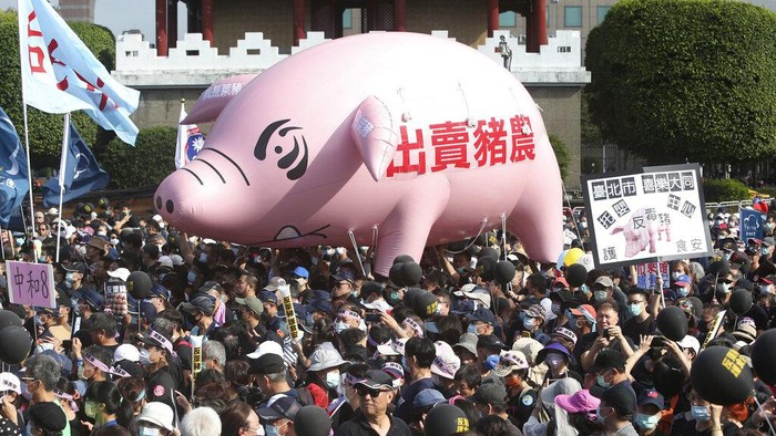 Ada Balon Babi Raksasa di Tengah Aksi Unjuk Rasa Warga Taiwan Ribuan orang di Taipei berdemo tuntut pembatalan keputusan mengizinkan impor daging babi AS ke Taiwan. Balon babi raksasa pun terlihat di tengah aksi tersebut.