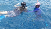 Traveler yang mau masuk ke Bangsring Underwater wajib pakai masker, harus cuci tangan, cek suhu. Setiap hari di sini dilakukan dua kali melakukan penyemprotan disinfektan dan Senin libur. Saat libur, ada kerja bakti, bersih-bersih dan penyemprotan disinfektan. (Esti Widiyana/detikcom)