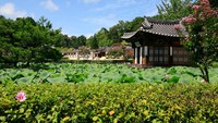 Provinsi Gangwon menawarkan banyak destinasi wisata buat wisatawan yang mau liburan ke Korea Selatan. Soal budaya Korea, traveler bisa menyelaminya di Gangneung Seongyojang House yang masih tradisional ini.