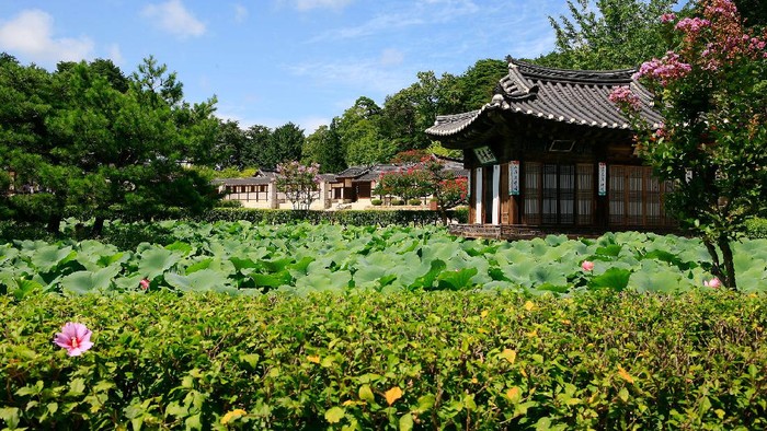 Keindahan Provinsi Gangwon