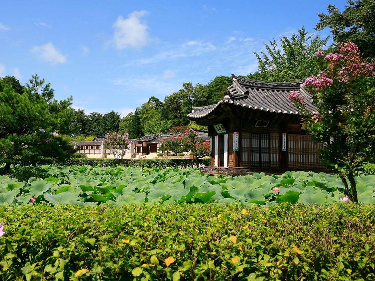 Potret Keindahan Provinsi Gangwon di Korea Selatan