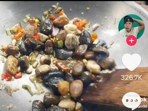 5 Masakan Batu yang Bikin Heran, Ditumis hingga Campur Telur