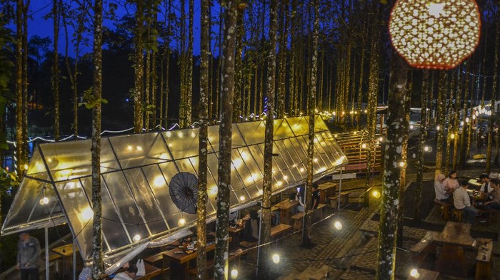 Jati Sewu Cibungbang jadi salah satu objek wisata andalan di Ciamis. Selain kedai kopi, objek wisata itu juga memiliki fasilitas penginapan hingga kolam renang.