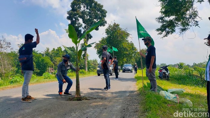 pohon pisang ditanam di jalan berlubang