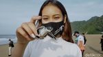 Foto: Tukik-tukik Penyu Lucu yang Dilepas di Pantai Sukamade