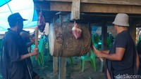 Pada hari ini sudah dipotong kerbau satu ekor namanya pabbambangan, setelah itu acaranya maleppo kayu untuk menyimpan mayat selama ada di atas rumah,  ungkap Buro.