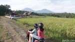 Foto: Taman Langit, Wisata Baru di Taman Langit