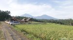 Foto: Taman Langit, Wisata Baru di Taman Langit