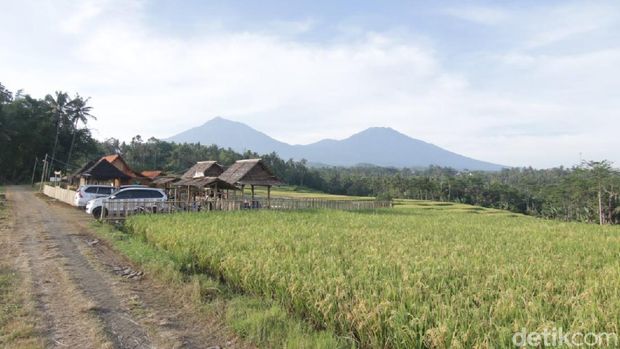 Wisata Taman Langit