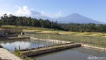 Foto: Taman Langit, Wisata Baru di Taman Langit