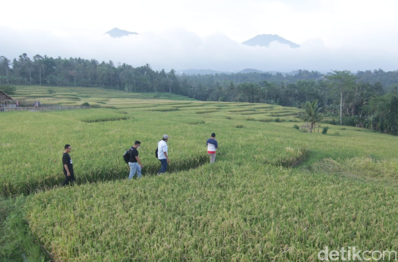 Wisata Taman Langit