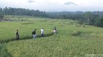 Foto: Taman Langit, Wisata Baru di Taman Langit