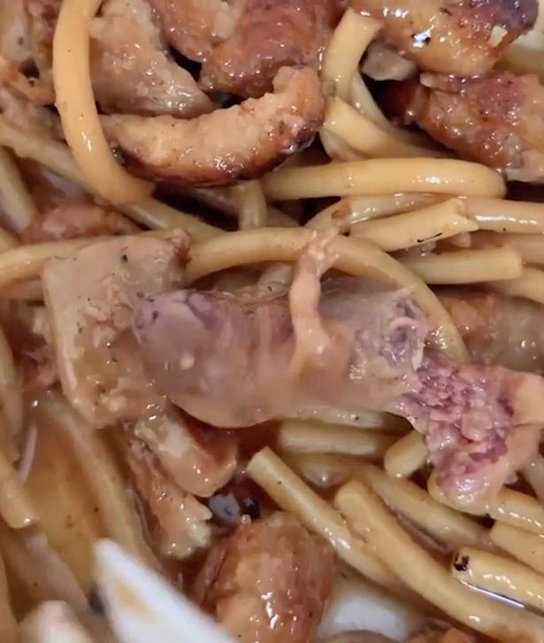 Bikin Mual, Ada Tikus hingga Celana Dalam di 5 Pesanan Makanan Ini