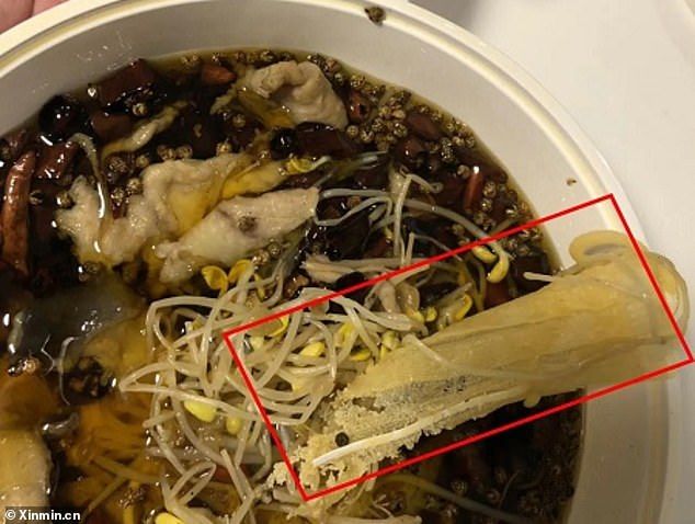 Bikin Mual, Ada Tikus hingga Celana Dalam di 5 Pesanan Makanan Ini