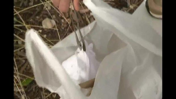 Bikin Mual, Ada Tikus hingga Celana Dalam di 5 Pesanan Makanan Ini