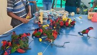 Polisi di kota Fakfak mengatakan awak kapal melaporkan mendengar suara-suara aneh yang berasal dari sebuah kotak besar. Ternyata ditemukan 74 ekor burung nuri kepala hitam, sayangnya 10 ekor diantaranya sudah mati. Istimewa/Facebook/Tamizhar Media