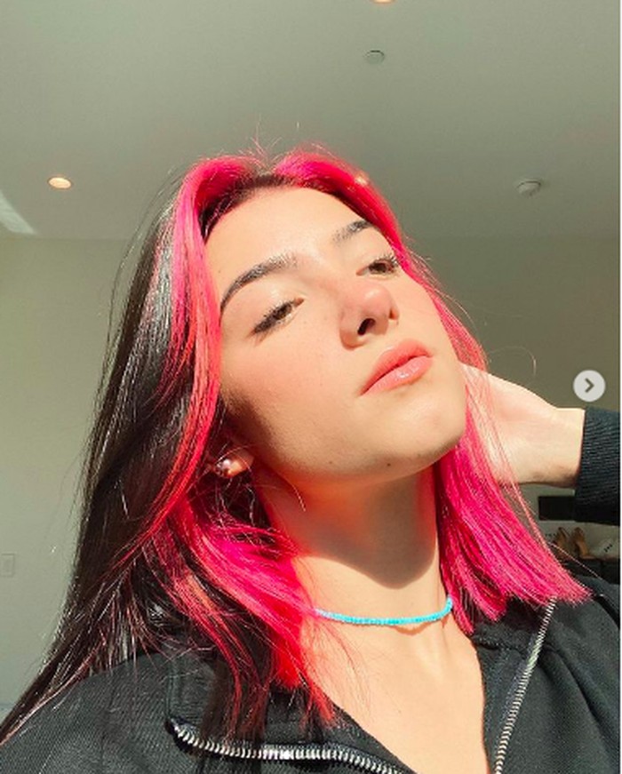 fotoinet charli d’amelio