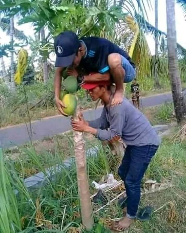 Nggak paham lagi kenapa ide dua orang ini bisa cemerlang banget. Jadi berasa mau ngambil buah di pohon yang tinggi ya.. Foto: Instagram/@kelakuanwarga62