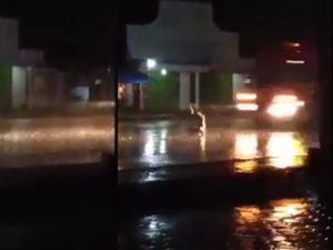Detik-detik Pria Duduk Bersila di Tengah Jalan Ditabrak Truk