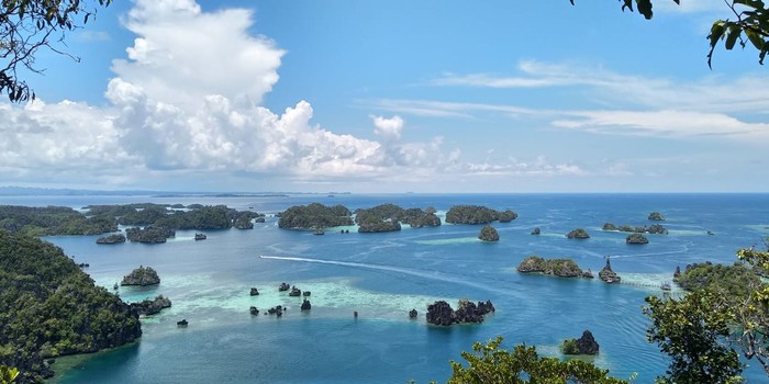 Raja Ampat terbaru