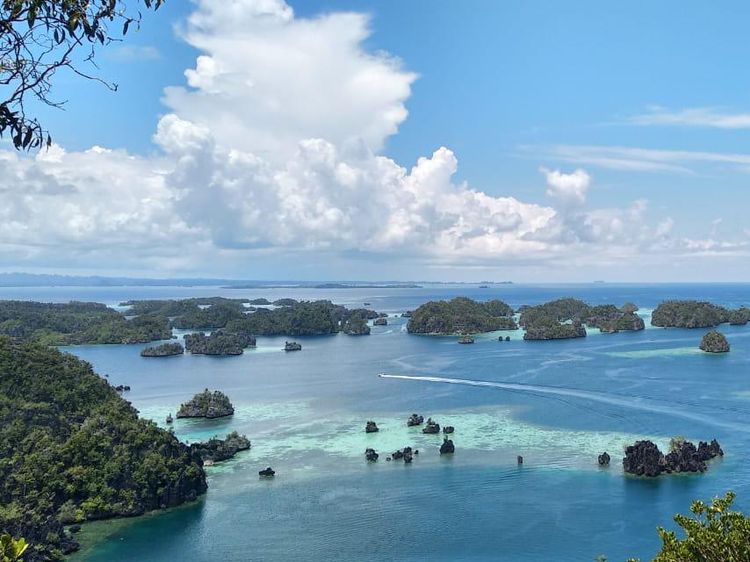 Halo Raja Ampat, Kok Kamu Makin Ngangenin Sih?