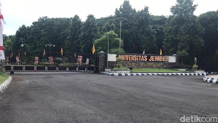 universitas jember