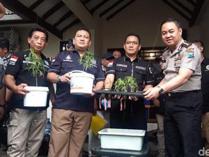 Selain ke MK, Ardian Terpidana Kasus Ganja untuk Kesehatan Siap Ajukan PK