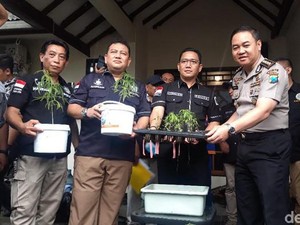 Selain ke MK, Ardian Terpidana Kasus Ganja untuk Kesehatan Siap Ajukan PK