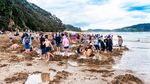 Foto: Pantai Unik yang Punya Air Panas