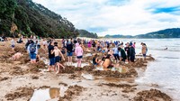 Suhu air yang keluar sampai 64 derajat celcius. Cukup hangat untuk berendam.(Getty Images/iStockphoto)