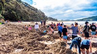 Pantai ini selalu ramai wisatawan yang ingin berendam gratis. (Getty Images/iStockphoto)