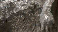 Menurut para arkeolog, kedua jasad tersebut ialah korban dari letusan gunung Vesuvius pada tahun 79 Masehi.