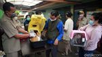 Kucing, Anjing Hingga Monyet Antri Vaksinasi Anti Rabies