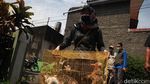 Kucing, Anjing Hingga Monyet Antri Vaksinasi Anti Rabies
