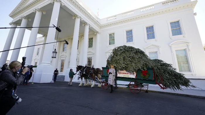First lady Melania Trump stands next to the 2020 Official White House Christmas tree as it is presented on the North Portico of the White House, Monday, Nov. 23, 2020, in Washington. (AP Photo/Andrew Harnik)