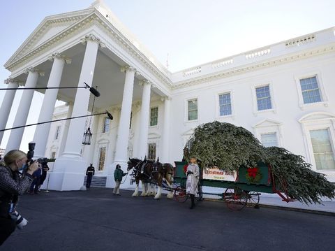First lady Melania Trump stands next to the 2020 Official White House Christmas tree as it is presented on the North Portico of the White House, Monday, Nov. 23, 2020, in Washington. (AP Photo/Andrew Harnik)