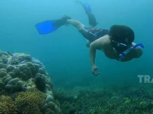My Trip My Adventure: Snorkeling di Pantai Mutiara Sumbawa