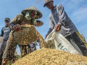 Data Petani Perlu Diperbaiki Biar Penyaluran Pupuk Subsidi Tepat Sasaran