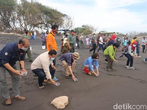 1.000 Tukik Dilepas di Pantai Trisik