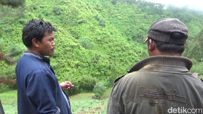 Sebuah pikap terjun ke jurang 100 meter di Lumajang hingga videonya viral di media sosial. Seperti apa kronologinya?