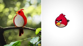 Red Angry Bird. Foto: Instagram/ditovontease