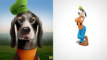 Goofy. Foto: Instagram/ditovontease