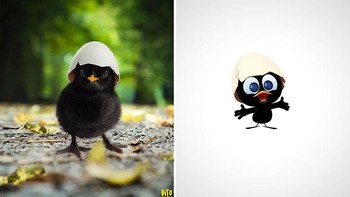 Calimero. Foto: Instagram/ditovontease