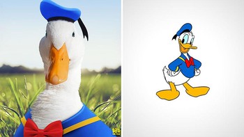 Donald Duck. Foto: Instagram/ditovontease