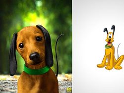 Beginilah Karakter Kartun Hewan di Kehidupan Nyata