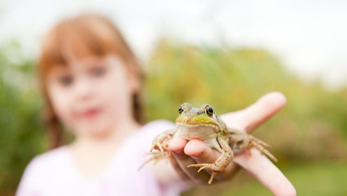 Color photo of a little princess girl holding out a green frog in her hand. If she kisses it, will it turn into a prince?