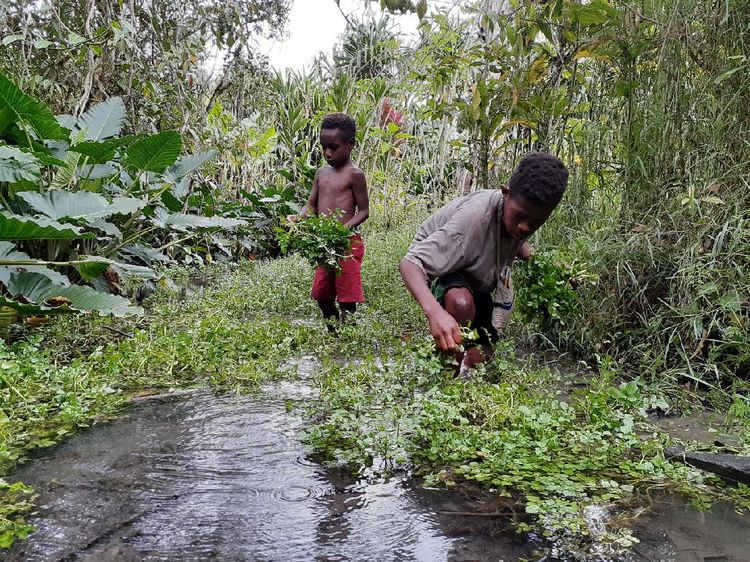 Lembah Baliem, Anda Harus Mengunjunginya Suatu Saat
