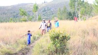 Lembah Baliem menjadi destinasi favorit bagi turis asing yang menyukai trekking atau wisata berjalan kaki. Dengan trekking, wisatawan dapat menikmati Lembah Baliem yang masih alami, rumah honai, kebun ubi jalar dan suasana perkampungan Suku Dani.